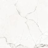 VENATINO ACETINADO